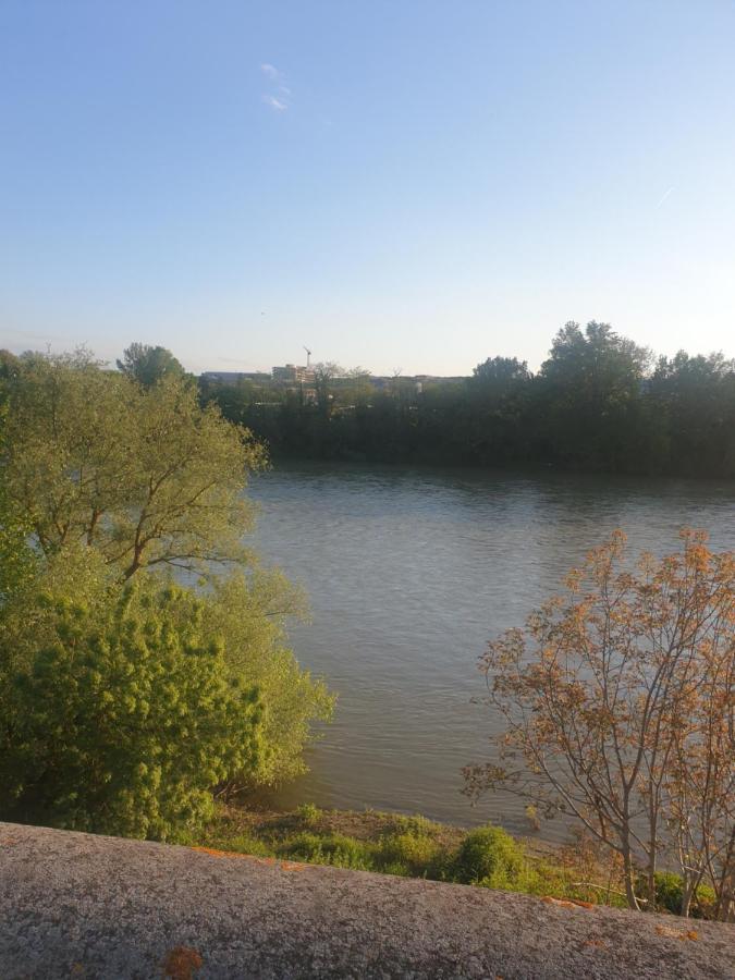 Appart Cosy Sur Berges De Garonne Pour Vacances & Affaires Toulouse Dış mekan fotoğraf